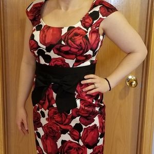 Gorgeous White House Black Market rose dress